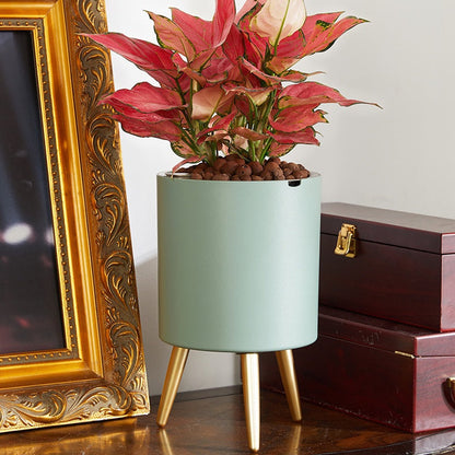 FLORVIK – Selbstbewässernder Pflanzständer im eleganten Design